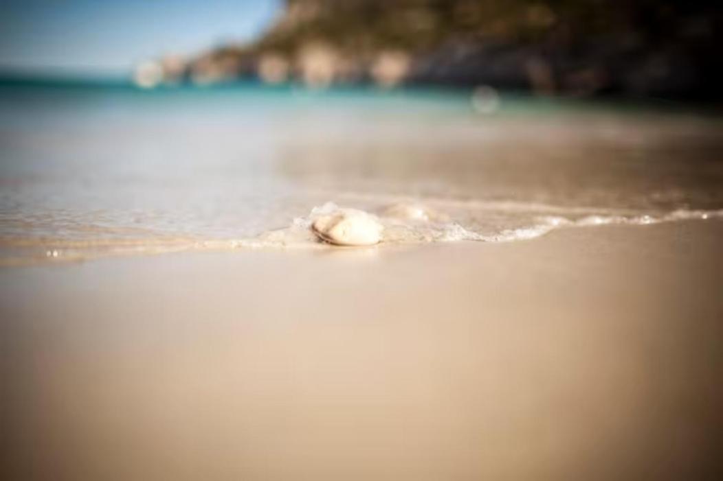Vue Mer Plage Catalans Vieux Port Clim - 2 Chambres 马赛 外观 照片